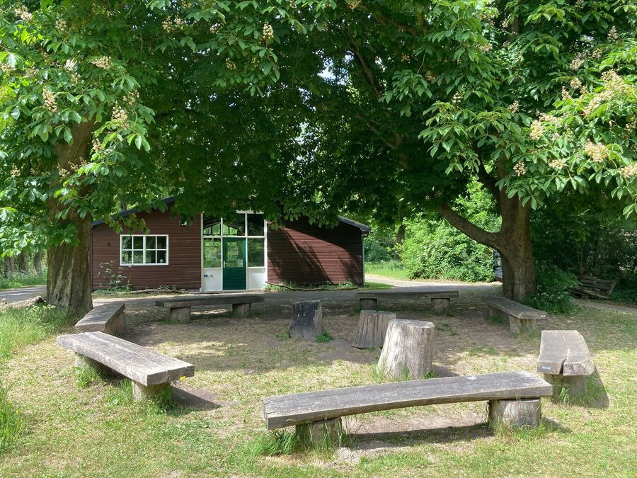afbeelding 1