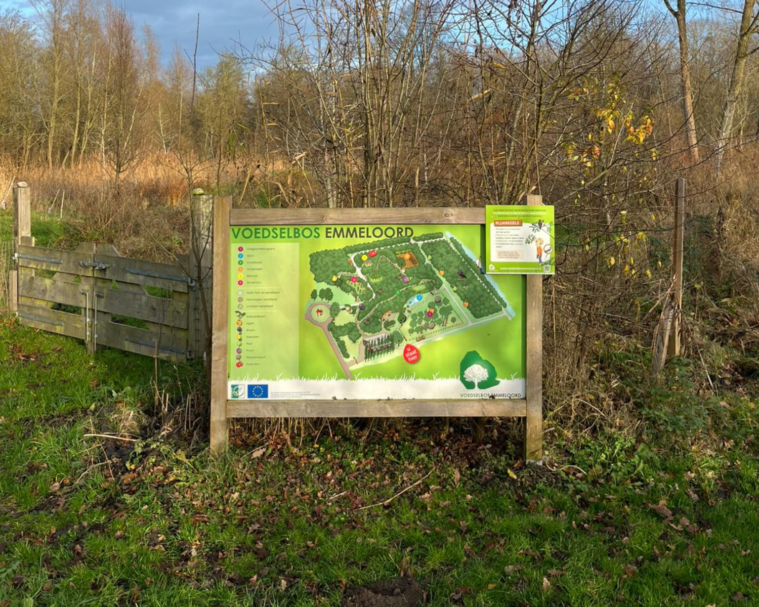 Bos plattegrond entree