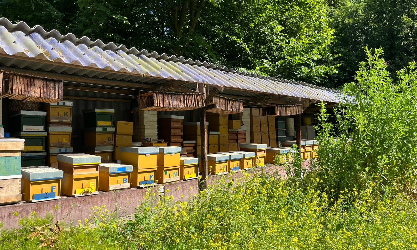 Bijenstal